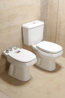 Inodoro largo cuadrado Roca Monaco porcelana sanitaria blanco